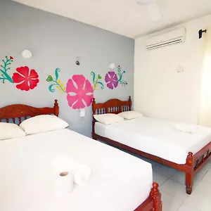 book here